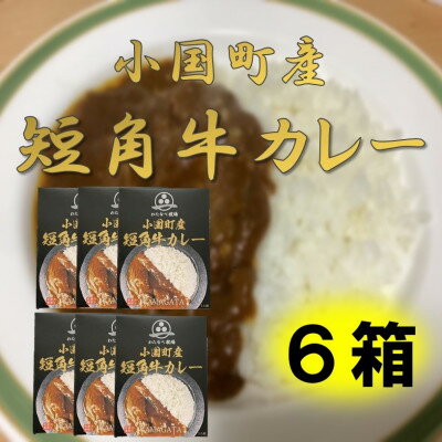 小国短角牛カレー(1人前×6箱)【1463244】