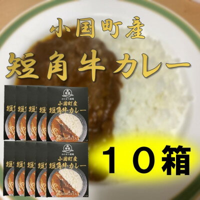 小国短角牛カレー(1人前×10箱)【1463250】