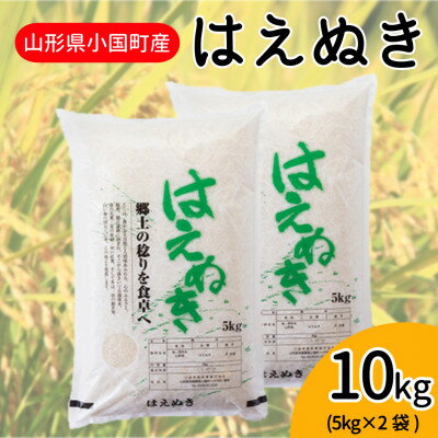 山形県小国町産 はえぬき精米 10kg(5kg×2袋)