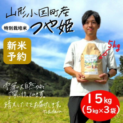 【新米 先行予約】令和6年産 つや姫15kg(5kg×3袋)　精米　山形県小国町産【1498868】