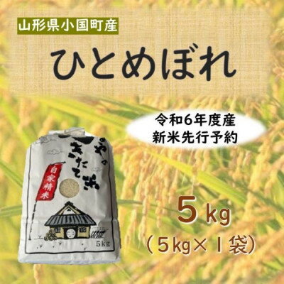 [令和6年新米 先行予約]ひとめぼれ5kg 精米 山形県小国町産