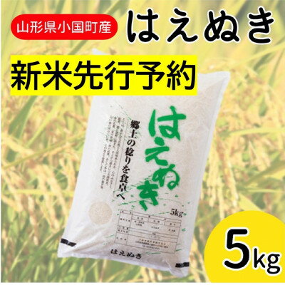 [令和6年産新米 先行予約]山形県小国町産 はえぬき5kg 精米