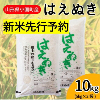 【令和6年産新米 先行予約】山形県小国町産 はえぬき10kg(5kg×2袋) 精米【1503916】