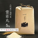【ふるさと納税】新米先行予約 雪若丸 精米 5kg 令和7年産 山形県小国町産【1519083】