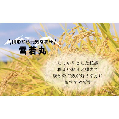 【ふるさと納税】新米先行予約 雪若丸 精米 5kg 令和8年産 山形県小国町産【1519083】 f064017-oguni-10000231 山形県小国町 サンプル画像2