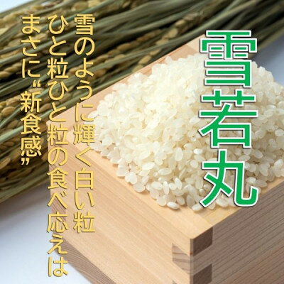 【ふるさと納税】【令和8年産米先行予約】山形県小国町産　雪若丸15kg(5kg×3袋)　小国米穀商業協同組合【1543595】