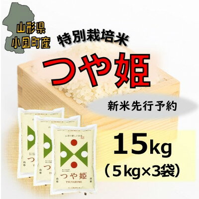 【ふるさと納税】【令和8年産米先行予約】山形県小国町産　つや姫15kg(5kg×3袋)　小国米穀商業協同組合【1545826】