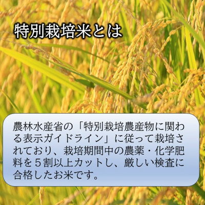 【ふるさと納税】【令和8年産米先行予約】山形県小国町産　つや姫15kg(5kg×3袋)　小国米穀商業協同組合【1545826】