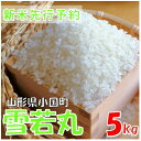 【ふるさと納税】【令和7年産米 先行予約】雪若丸 精米 5kg(5kg×1袋) おぐにのこめ【1660264】