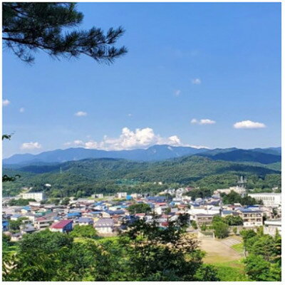 �ڤդ뤵��Ǽ�ǡۡڿ��̸���۽б���α�� ���󥰥���ȥ����������־������ȡ�750ml��3�ܡ�1710157��