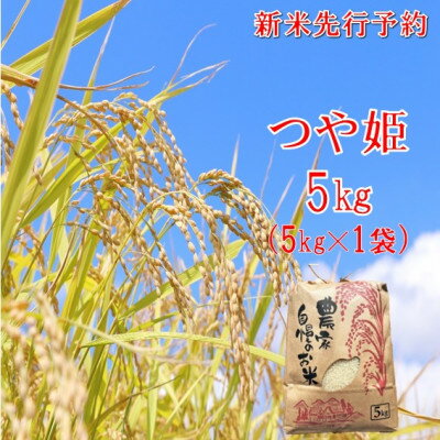 Rakuten - 【ふるさと納税】【令和8年産米 先行予約】つや姫 精米 5kg　佐藤【1746864】
