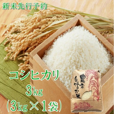 Rakuten - 【ふるさと納税】【令和8年産米 先行予約】コシヒカリ 精米 3kg　佐藤【1746913】