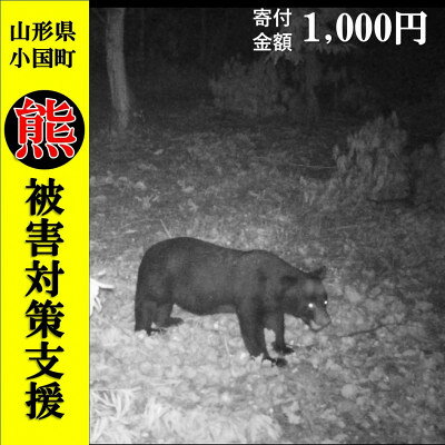 [返礼品なし]熊被害対策支援(山形県小国町) 1,000円〜(返礼品はありません)