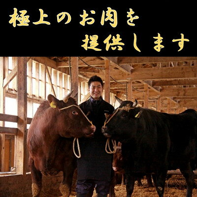 【ふるさと納税】【先行予約】【期間限定】米沢牛 ごちそうパックB　切落し 600g&サーロインステーキ1kg【配送不可地域：離島】【1760187】 f064017-oguni-10000323 山形県小国町 サンプル画像3