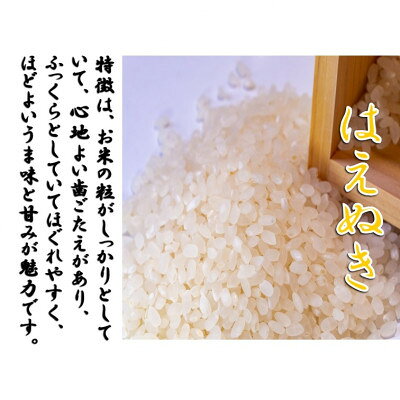 【ふるさと納税】【令和8年産新米　先行予約】山形県小国町産　はえぬき2kg　小国米穀商業協同組合【1769061】 f064017-oguni-10000334 山形県小国町 サンプル画像2