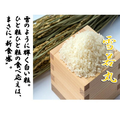 【ふるさと納税】【令和8年産　新米先行予約】山形県小国町産　雪若丸2kg　小国米穀商業協同組合【1769062】 f064017-oguni-10000332 山形県小国町 サンプル画像2