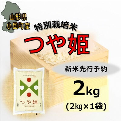 名称 【令和8年産新米　先行予約】山形県小国町産　つや姫2kg　小国米穀商業協同組合 精米時期 「別途商品ラベルに記載」 発送時期 2026/10/16から順次発送 ※2026/10/16以降のお申し込みは2～3週間程度で順次発送 提供元 株式会社小国町地域総合商社 配達外のエリア なし お礼品の特徴 つや姫は、日本穀物検定協会が発表する食味ランキングで、デビューから15年連続で最高評価の特Aを獲得している、名実ともに山形県を代表するブランド米です。 雄大な山々に囲まれた小国町では、ミネラルたっぷりの清水や、山々の恵みをいっぱいに受けて米作りをしています。 農林水産省の基準に則って作られるつや姫は、栽培期間中の農薬と化学肥料が5割以下に削減されており、環境にも食べる人にとっても安心安全なお米です。 大地の恵みをいっぱい受けて育てた、白くつやのあるつや姫をご賞味ください。 ■お礼品の内容について ・つや姫　精米[2kg×1袋] 　　原産地:山形県小国町 　　賞味期限:発送日から1か月以内 ・ふるさと納税よくある質問はこちら ・寄附申込みのキャンセル、返礼品の変更・返品はできません。あらかじめご了承ください。 【関連キーワード】 季節のご挨拶に お正月 賀正 新年 新春 初売り 年賀 成人式 成人祝 節分 バレンタイン ひな祭り ホワイトデー 卒業式 卒業祝い 入学祝 お花見 ゴールデンウィーク GW こどもの日 端午の節句 お母さん ママ 母の日 お父さん パパ 父の日 七夕 初盆 お盆 お中元 御中元 中元 お彼岸 残暑御見舞 残暑見舞い 敬老の日 おじいちゃん 祖父 おばあちゃん 祖母 寒中お見舞い クリスマス お歳暮 御歳暮 ギフト プレゼント 贈り物 セット 日常の贈り物に お見舞い 退院祝い 全快祝い 快気祝い 快気内祝い ご挨拶 ごあいさつ 引っ越しご挨拶 引越しご挨拶 お宮参り御祝 合格祝い 進学内祝い 成人式 御成人御祝 卒業記念品 卒業祝い 御卒業御祝 入学祝い 入学内祝い 小学校 中学校 高校 大学 就職祝い 社会人 幼稚園 入園内祝い 御入園御祝 お祝い 御祝い 内祝い 金婚式御祝 銀婚式御祝 御結婚お祝い ご結婚御祝い 御結婚御祝 結婚祝い 結婚内祝い 結婚式 引き出物 引出物 引き菓子 御出産御祝 ご出産御祝い 出産御祝 出産祝い 出産内祝い 御新築祝 新築御祝 新築内祝い 祝御新築 祝御誕生日 バースデー バースデイ バースディ 七五三御祝 753 初節句御祝 節句 昇進祝い 昇格祝い 就任 お供え 法事 供養 法人・企業様に 開店祝い 開店お祝い 開業祝い 周年記念 異動 栄転 転勤 退職 定年退職 挨拶回り 転職 お餞別 贈答品 景品 コンペ 粗品 手土産 寸志 歓迎 新歓 送迎 歓送迎 新年会 二次会 忘年会 記念品 関連キーワード 楽天ふるさと納税 ふるさと納税 ふるさと 39ショップ買いまわり 39ショップ キャンペーン 買いまわり 買い回り 買い周り お買い物マラソン マラソンセール SS 楽天スーパーセール スーパーセール スーパーSALE SS スーパーセール 人気 ランキング コロナ コロナ支援 お試し 贈答 贈答用 国産 年内 送料無料