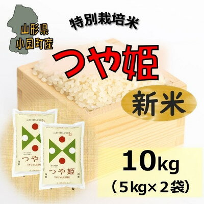 【ふるさと納税】【令和8年産新米】山形県小国町産　つや姫10kg　小国米穀商業協同組合【2001996】 f064017-oguni-10000368 山形県小国町 パッケージ画像