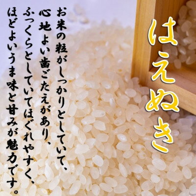 【ふるさと納税】【毎月定期便】山形県小国町産　はえぬき5kg(精米)全3回【4010078】