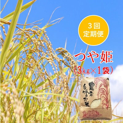 [発送月固定定期便]つや姫 精米 3kg 佐藤全3回