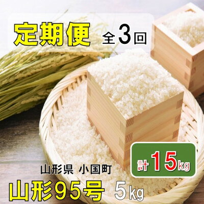 【ふるさと納税】【発送月固定定期便】山形県小国町産　山形95号5kg　おぐにのこめ全3回【4091681】