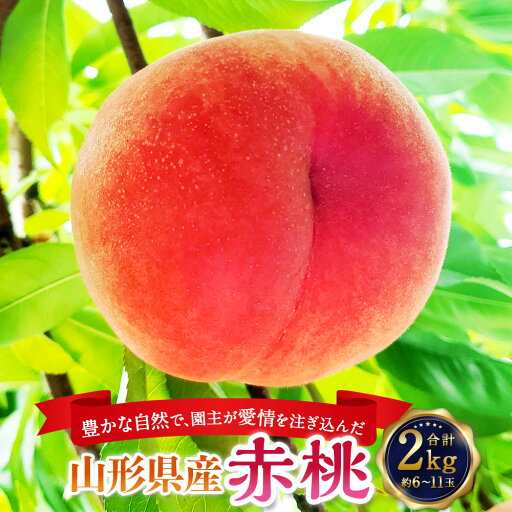 【ふるさと納税】【配送地域限定】豊かな自然で、園主が愛情を注ぎ込んだ桃 (赤桃) 2kg 約6~11玉 山形県産 【2025年8月発送予定】 【ふるさと納税】【配送地域限定】豊かな自然で、園主が愛情を注ぎ込んだ桃 (赤桃) 2kg 約6~11玉 山形県産 【2025年8月発送予定】