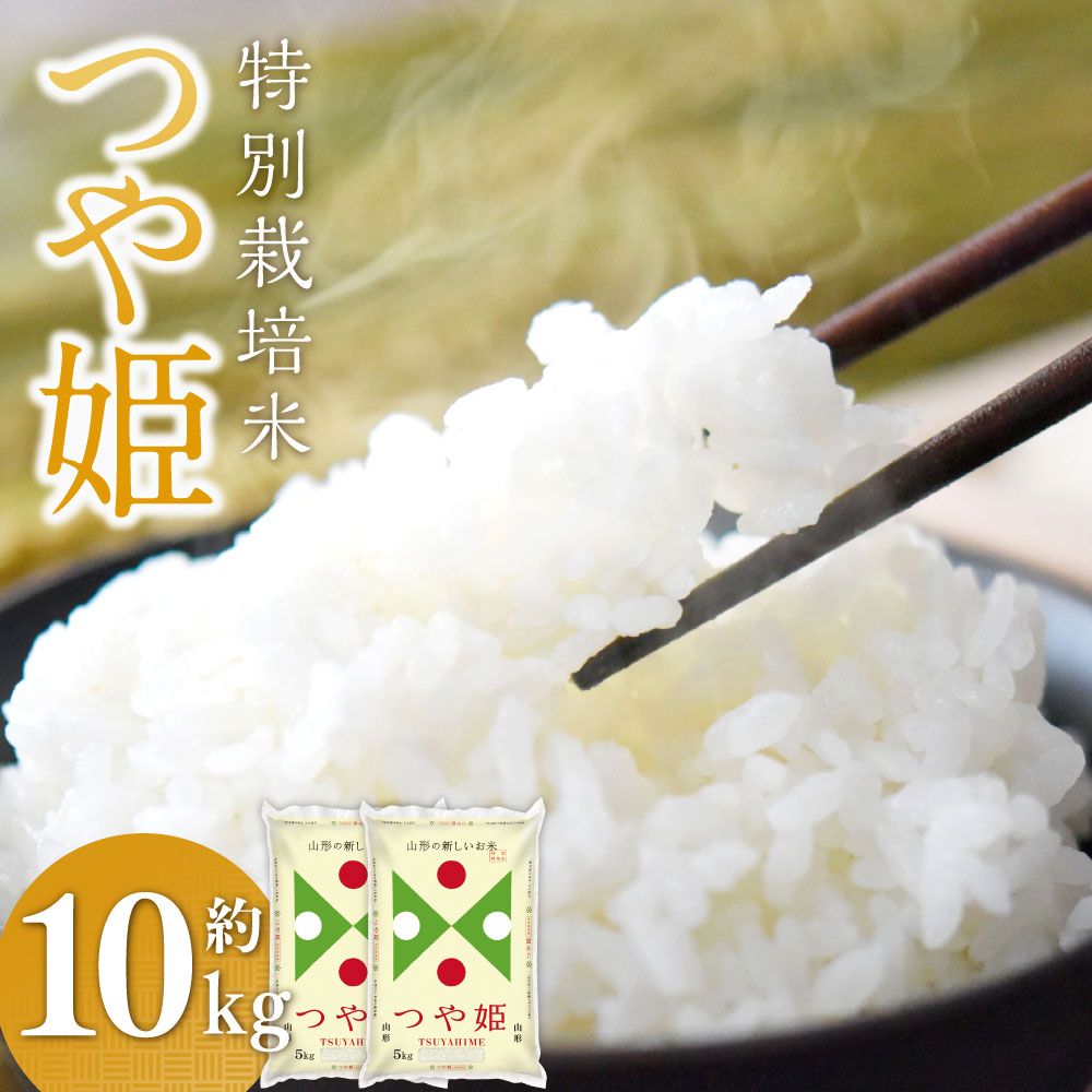 【ふるさと納税】 特別栽培米〈令和7年産〉 つや姫 約10kg(約5kg×2袋セット) 白米 10キロ 精米 ブランド米 1等米 お米 山形県 白鷹町 送料無料...