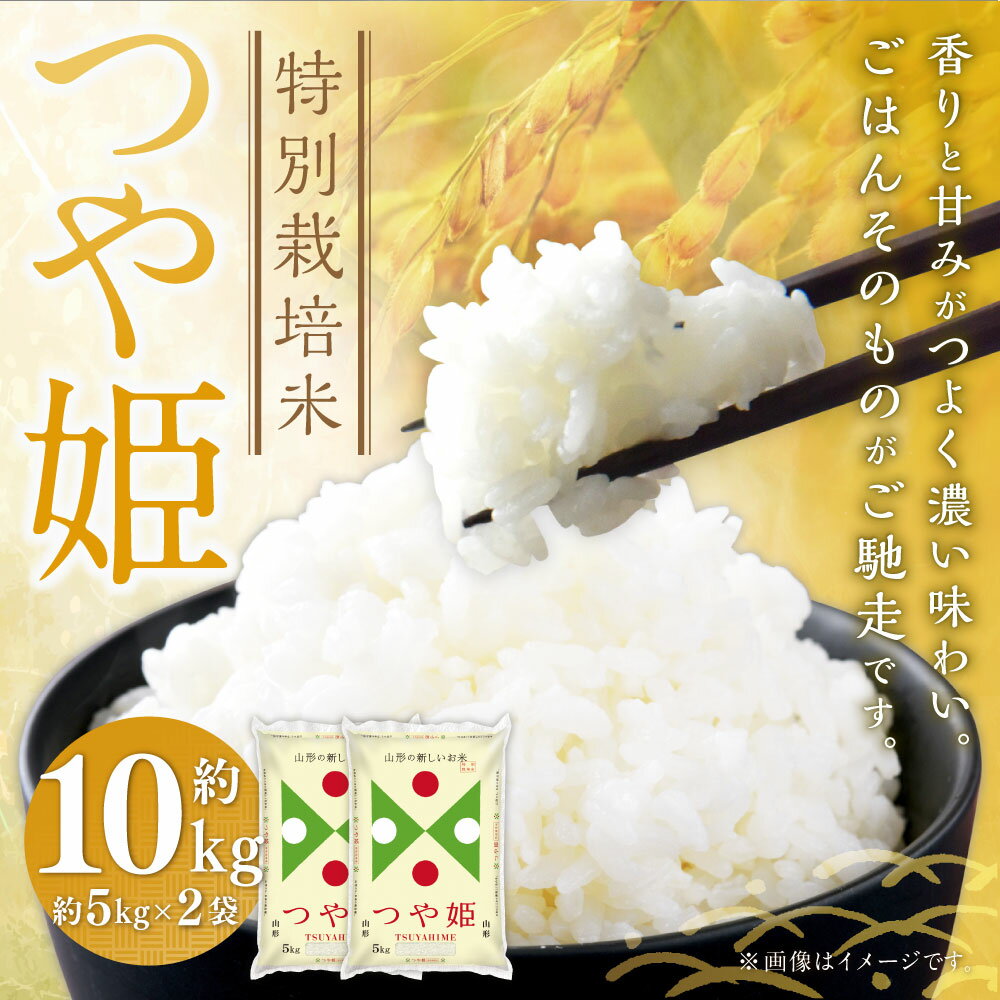 【ふるさと納税】 特別栽培米〈令和7年産〉 つや姫 約10kg（約5kg×2袋セット） 白米 10キロ 精米 ブランド米 1等米 お米 山形県 白鷹町 送料無料 【2026年3月上旬まで発送】