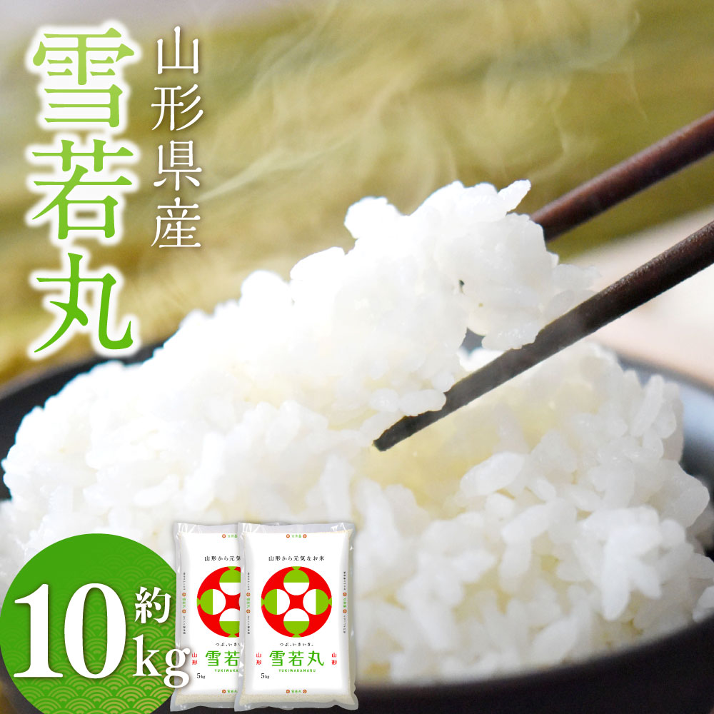 【ふるさと納税】 雪若丸〈令和7年産〉 約10kg(約5kg×2袋セット) 白米 10キロ 精米 ブランド米 お米 山形県 白鷹町 送料無料 【2026年3月上...