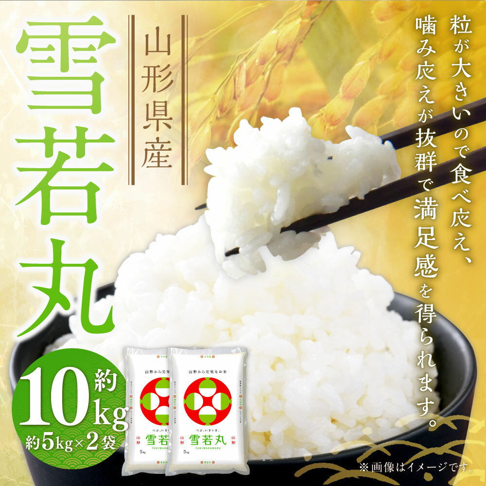 【ふるさと納税】 雪若丸〈令和7年産〉 約10kg（約5kg×2袋セット） 白米 10キロ 精米 ブランド米 お米 山形県 白鷹町 送料無料 【2026年3月上旬まで発送】