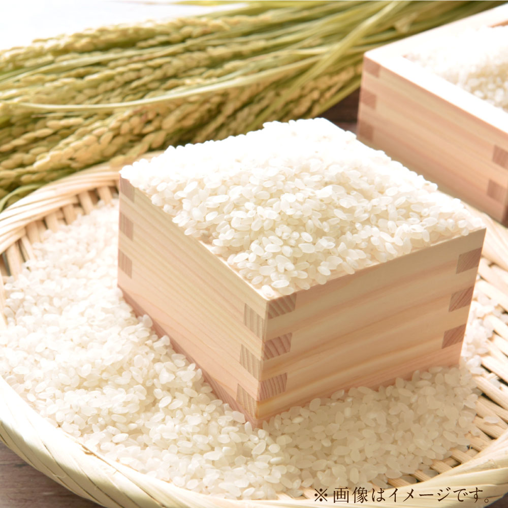 【ふるさと納税】 雪若丸〈令和7年産〉 約10kg（約5kg×2袋セット） 白米 10キロ 精米 ブランド米 お米 山形県 白鷹町 送料無料 【2026年3月上旬まで発送】