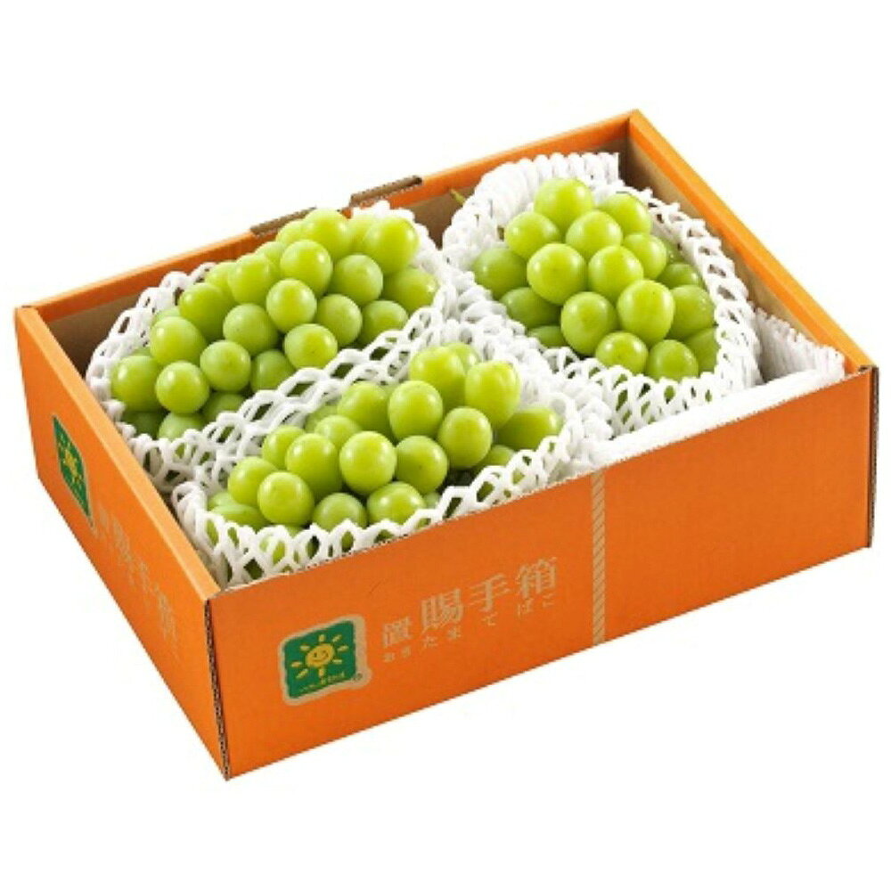 【ふるさと納税】＼レビューキャンペーン実施中／ シャインマスカット 秀 2～4房（約1.7kg）マスカット ぶどう 果物 くだもの フルーツ 山形県産 送料無料【2024年9月下旬～10月上旬発送予定】のサムネイル