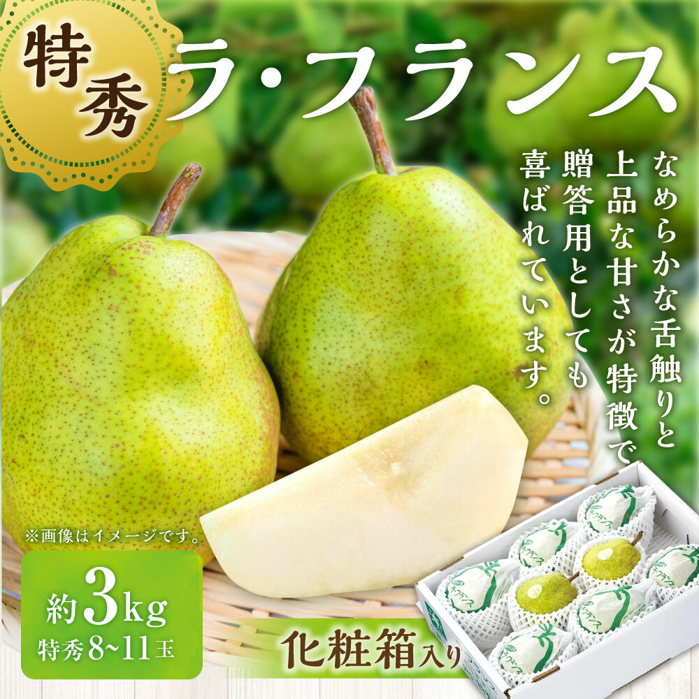 【ふるさと納税】ラ・フランス (特秀) 3kg【化粧箱入り】 山形県産 フルーツ 果物 【2025年11月上旬～12月上旬発送予定】