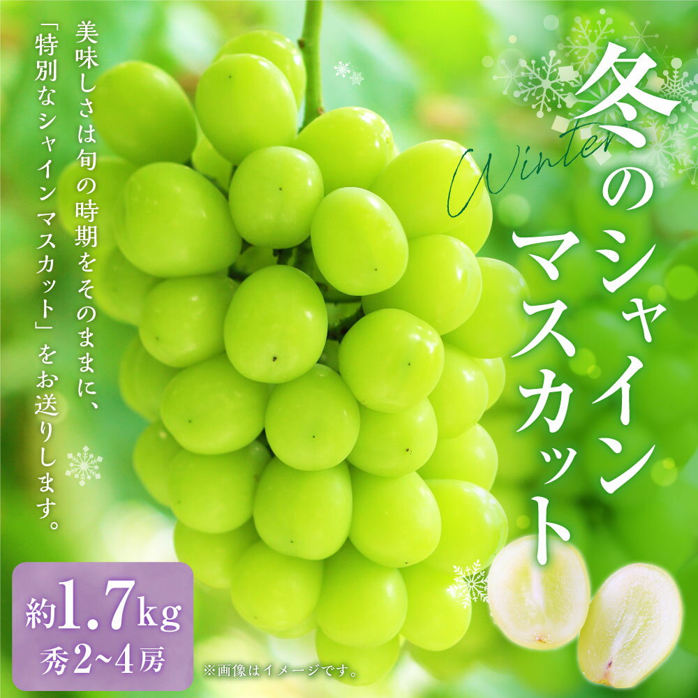 【ふるさと納税】 冬のシャインマスカット 秀2〜4房（約1.7kg） 山形県産 フルーツ 果物 ブドウ ぶどう 葡萄 【2025年12月下旬発送予定】
