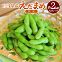 【ふるさと納税】えだまめ(秘伝) 約2kg(約250g×8)枝豆 大粒 豆類 豆 おつまみ 山形県産 送料無料【2025年9月下旬~10月上旬発送予定】