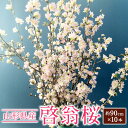 【ふるさと納税】\レビューキャンペーン実施中/ 啓翁桜 約90cm×10本 桜 さくら サクラ 花 フラワー 観賞用 飾り 山形県産 送料無料【2026年1月上旬~2月下旬発送予定】