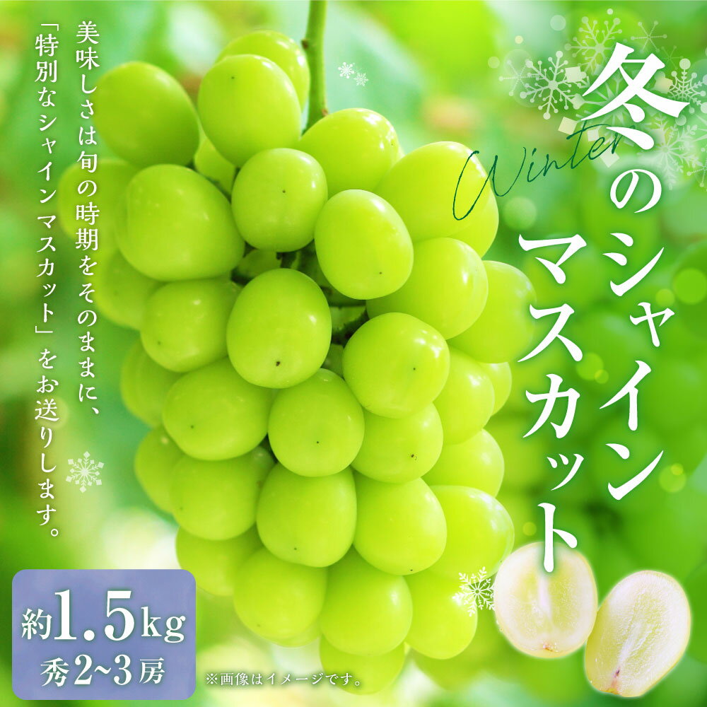 【ふるさと納税】山形おきたま産冬のシャインマスカット 秀 2～3房 （約1.5kg）【2025年12月下旬発送予定】シャインマスカット マスカット 葡萄 ぶどう ブドウ フルーツ スイーツ 果物 くだもの 果実 山形県 白鷹町 白鷹 冷蔵 送料無料