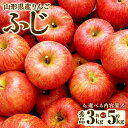 【ふるさと納税】【選べる容量】山形県産 りんご ふじ 約3kg 約5kg 秀品 【2025年12月上旬~12月下旬発送予定】 リンゴ 林檎 果物 くだもの フルーツ お取り寄せ 山形 山形県 白鷹町 送料無料