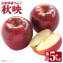 【ふるさと納税】 山形県産りんご 秋映 約5kg 【2025年10月下旬発送予定】 18~20玉前後 秀品 フルーツ 果物 くだもの リンゴ りんご 林檎 葉とらずりんご 葉とらず 国産 常温 山形県 白鷹町 送料無料