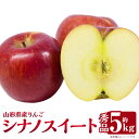 【ふるさと納税】 山形県産りんご シナノスイート 約5kg 【2025年10月下旬発送予定】 18~20玉前後 秀品 フルーツ 果物 くだもの リンゴ りんご 林檎 葉とらずりんご 葉とらず 国産 常温 山形県 白鷹町 送料無料