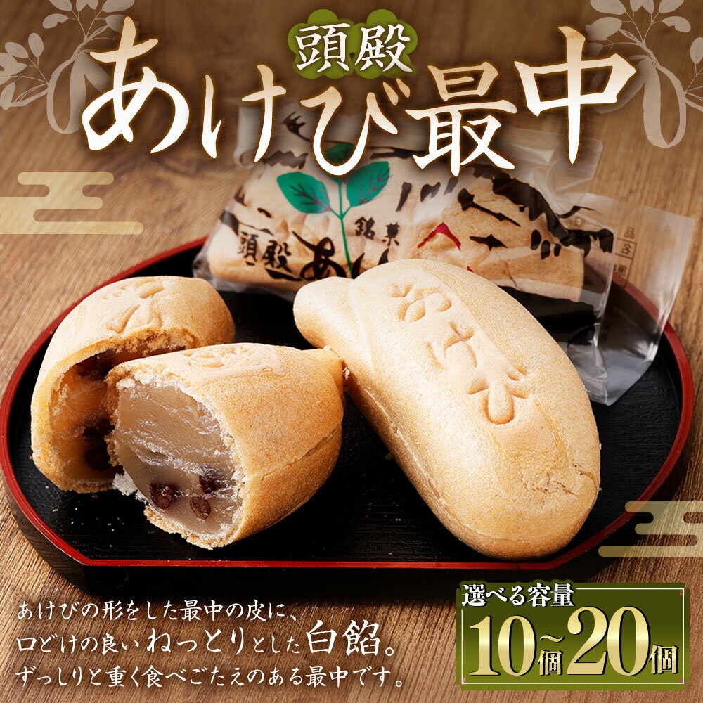 【ふるさと納税】 【選べる容量】頭殿あけび最中 10個入 15個入 20個入 最中 もなか モナカ あけび アケビ 白餡 白あん 和菓子 スイーツ お菓子 おかし おやつ お取り寄せ 山形県 白鷹町 送料無料 【2025年10月上旬より発送開始予定】