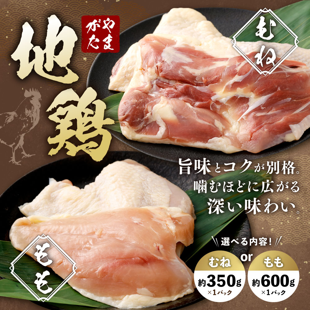 【ふるさと納税】 ＜選べる種類＞やまがた地鶏 もも（約600g）・むね（約350g） 1パック 鶏肉 お肉 モモ肉 ムネ肉 塩コショウ 水炊き 唐揚げ 冷凍 山形県産 国産 山形県 白鷹町 送料無料