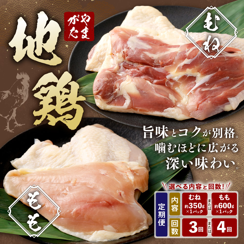 【ふるさと納税】＜選べる定期便＞やまがた地鶏 もも 1回あたり約600g 1ヶ月毎 3回 4回 計約1.8kg 計約2.4kg ／ むね 1回あたり約350g 1ヶ月毎 3回 4回 計約1.05kg 計約1.4kg 鶏肉 お肉 水炊き 冷凍 山形県産 国産 山形県 白鷹町 送料無料
