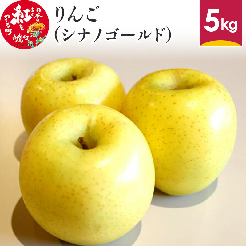 りんご (シナノゴールド) 5kg 山形県産 フルーツ 果物 リンゴ 林檎 【2024年10月上旬～10月下旬に順次発送予定】