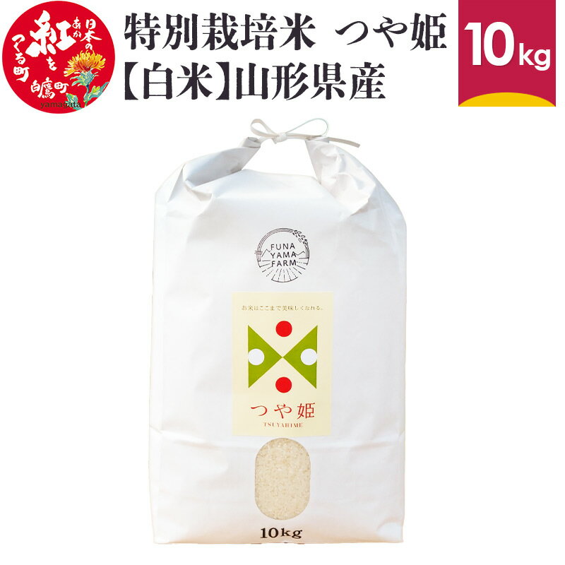 【ふるさと納税】特別栽培米 つや姫 10kg 【白米】 山形