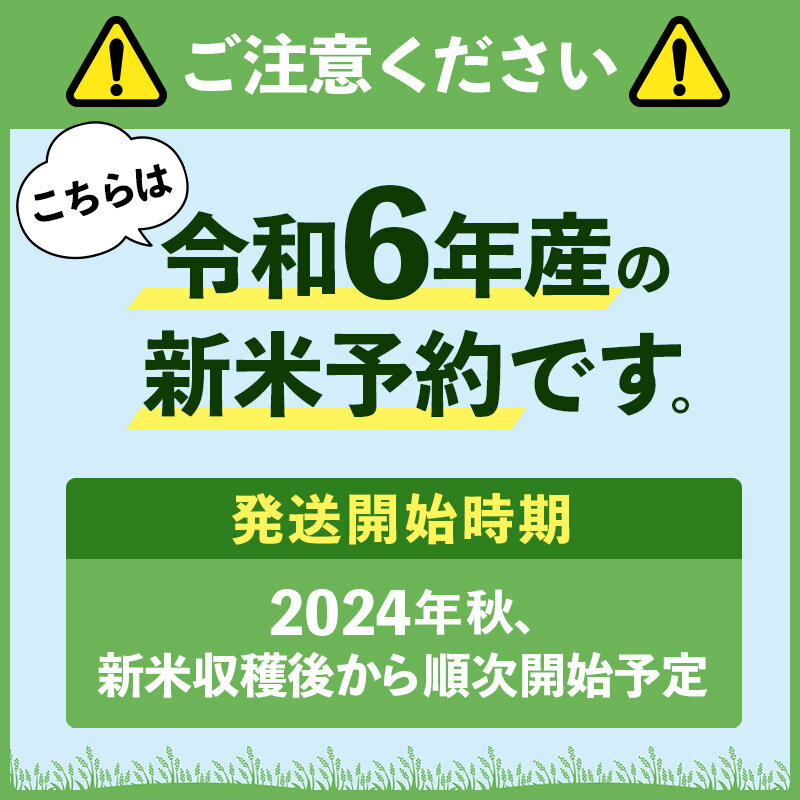 【ふるさと納税】※令和6年産 新米予約※《定期便2ヶ月》【玄米】雪若丸 15kg (5kg×3袋)×2回 山形県産 (5kg袋小分け)【2024年秋ごろ出荷予定】