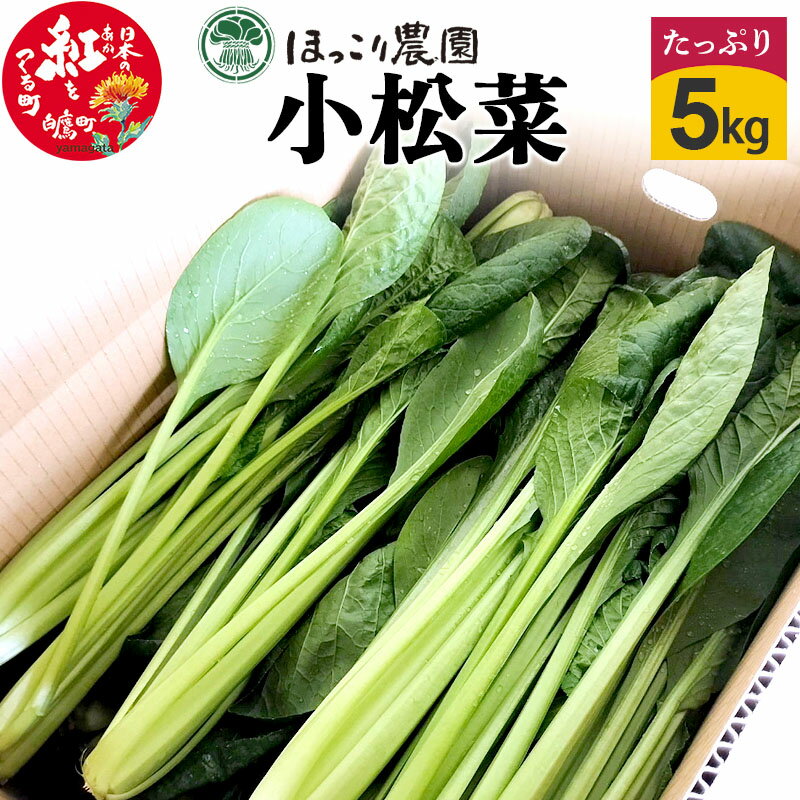 【ふるさと納税】山形県白鷹町産 とれたて小松菜（5kg）個数限定 国産 旬 野菜 やさい こまつな