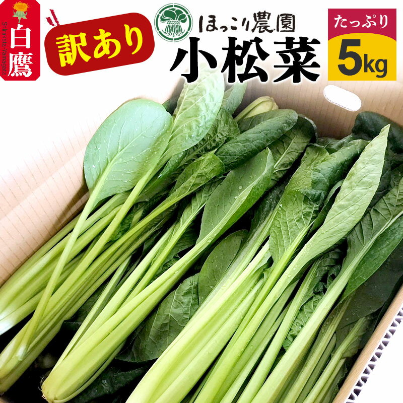 山形県白鷹町産[訳あり]とれたて小松菜(5kg)個数限定 国産 旬 野菜 やさい こまつな