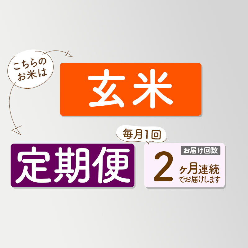 【ふるさと納税】《定期便2ヶ月》【玄米】つや姫 10kg×2回（特別栽培米）令和5年産 山形県産 しらたかのお米