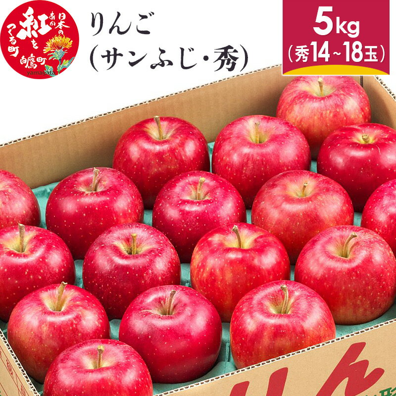 【ふるさと納税】りんご (サンふじ・秀) 5kg 山形県産 フルーツ 果物 【2024年11月下旬～12月上旬に順次発送予定】